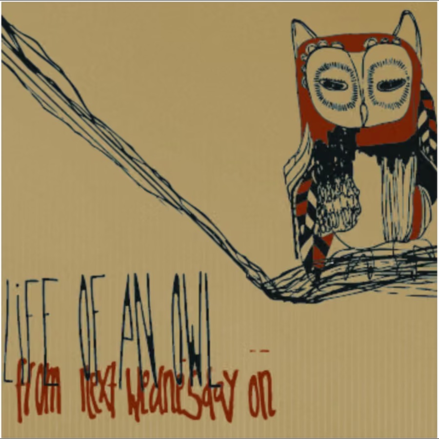 Cover Life of an Owl – From Next Wednesday On